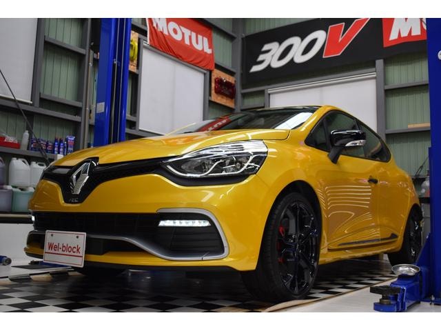 Renault LUTECIA 2013 — фото автомобиля