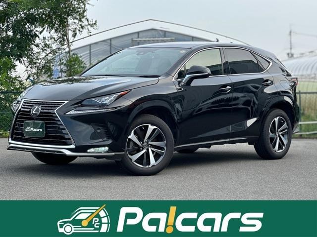 Lexus NX 2020 — фото автомобиля 1