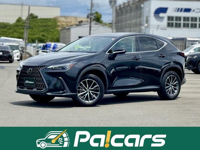 Lexus NX 2023 — фото автомобиля 1