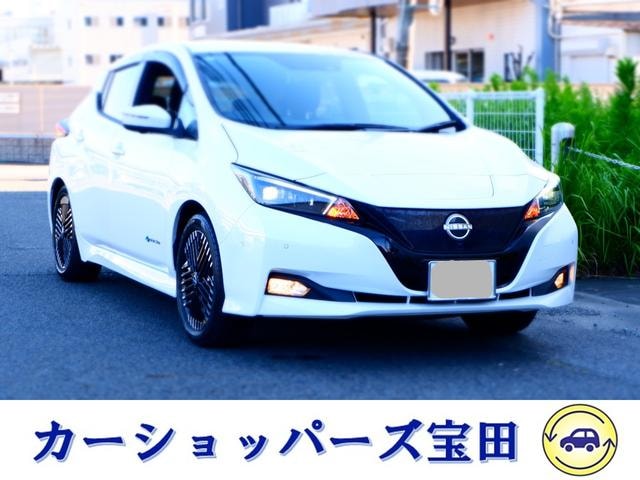 Nissan LEAF 2022 — фото автомобиля 1