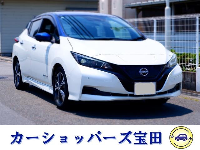Nissan LEAF 2022 — фото автомобиля 1