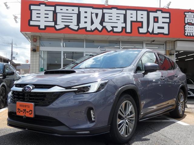 Subaru LEVORG LAYBACK 2023 — фото автомобиля
