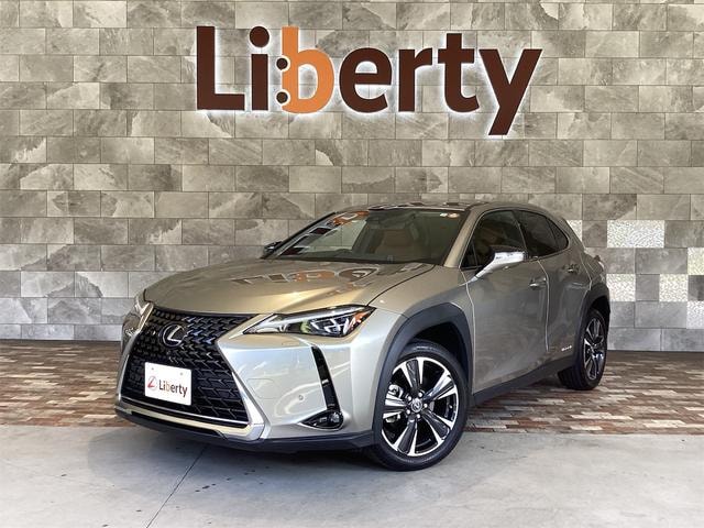 Lexus UX 2020 — фото автомобиля 1