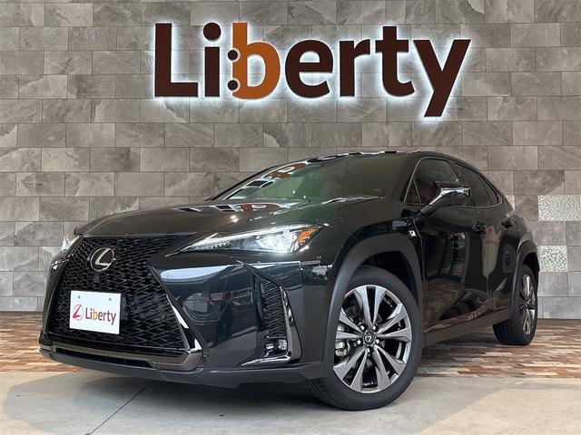 Lexus UX 2024 — фото автомобиля 1