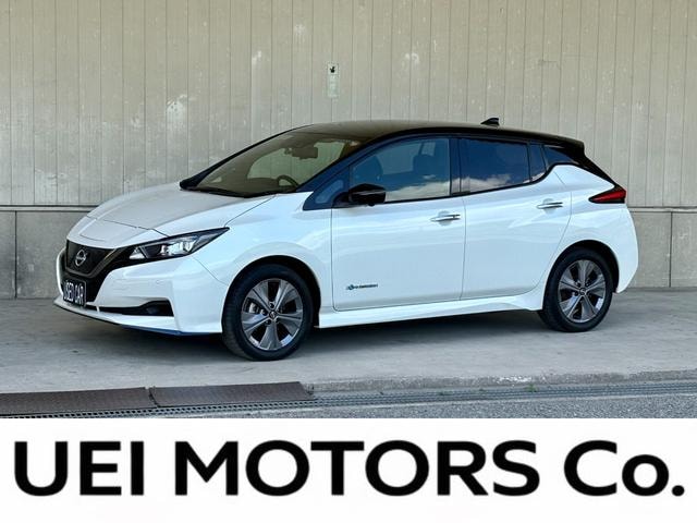 Nissan LEAF 2021 — фото автомобиля 1