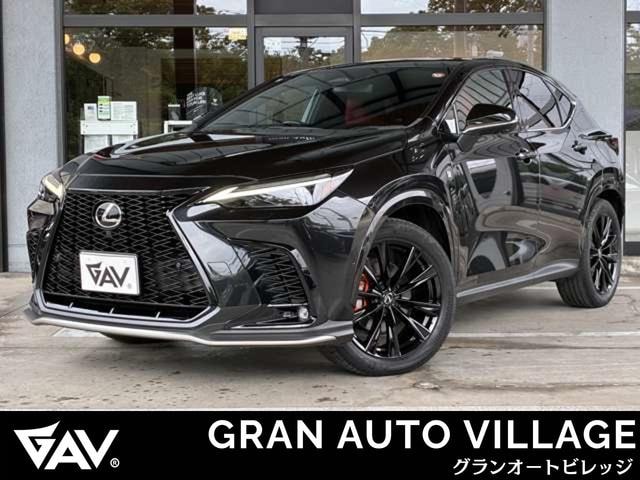Lexus NX 2023 — фото автомобиля