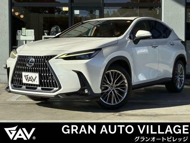 Lexus NX 2021 — фото автомобиля