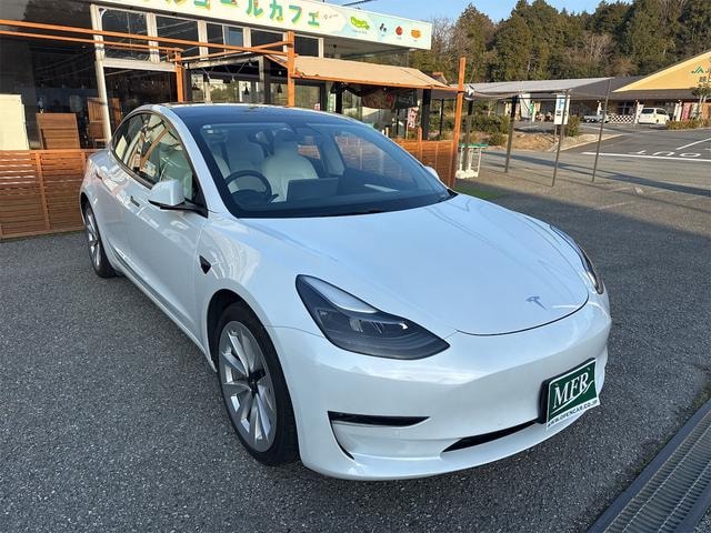 Tesla MODEL 3 2021 — фото автомобиля 1
