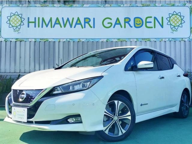 Nissan LEAF 2018 — фото автомобиля 1