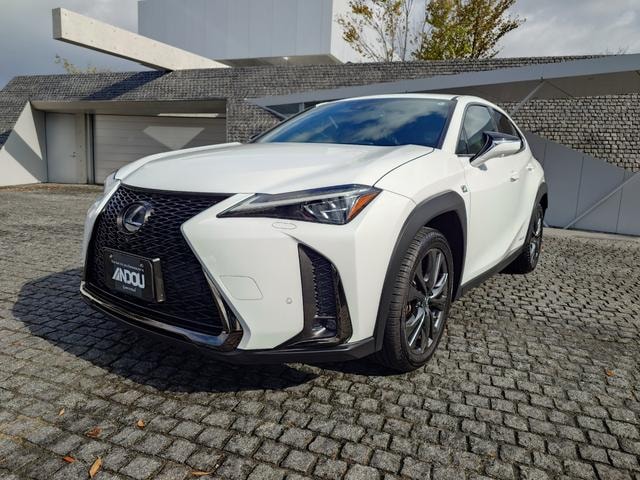 Lexus UX 2019 — фото автомобиля