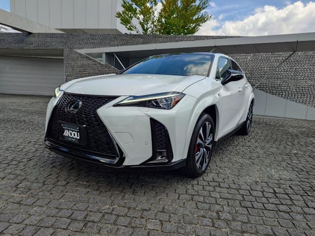 Lexus UX 2024 — фото автомобиля 1