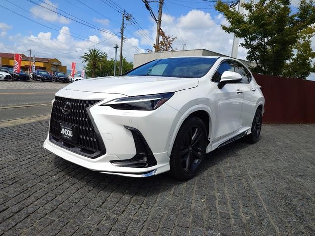Lexus NX 2023 — фото автомобиля 1