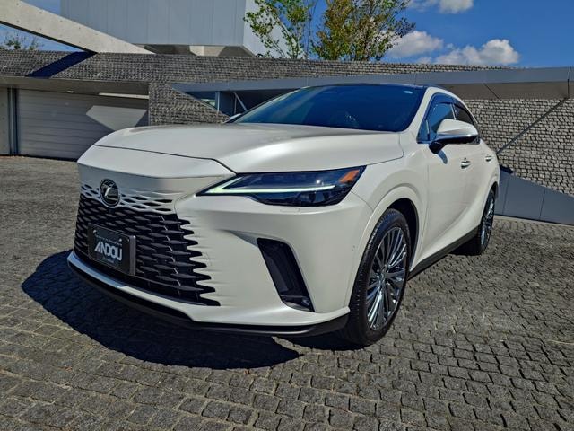 Lexus RX 2023 — фото автомобиля 1
