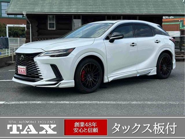 Lexus RX 2023 — фото автомобиля 1