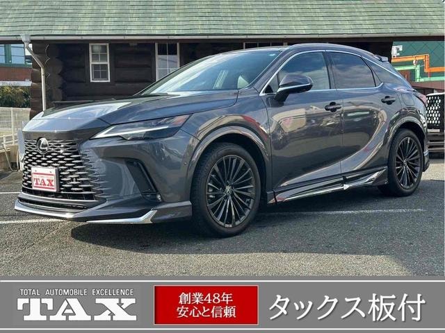 Lexus RX 2024 — фото автомобиля