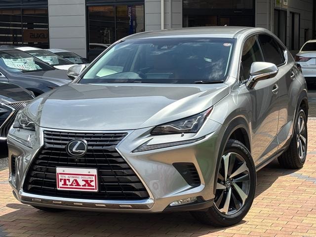 Lexus NX 2018 — фото автомобиля 1