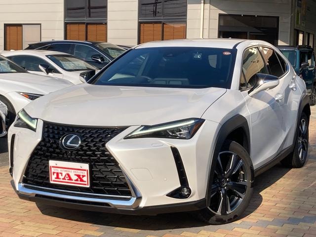 Lexus UX 2023 — фото автомобиля 1