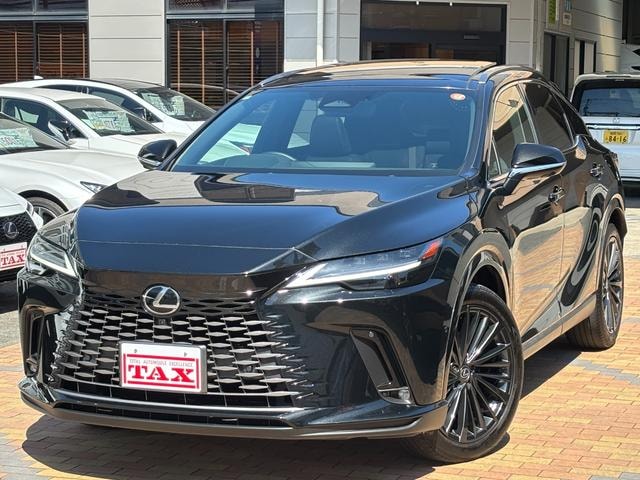 Lexus RX 2024 — фото автомобиля