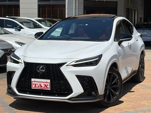 Lexus NX 2023 — фото автомобиля 1
