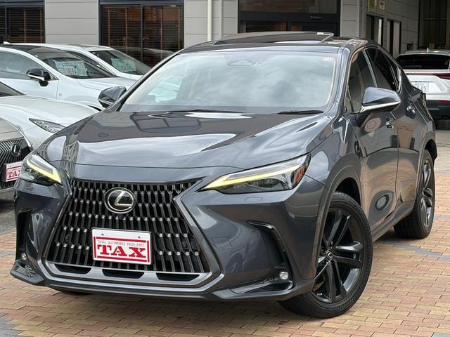Lexus NX 2022 — фото автомобиля 1