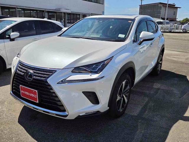 Lexus NX 2018 — фото автомобиля 1
