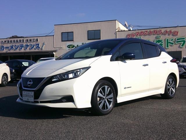 Nissan LEAF 2019 — фото автомобиля 1