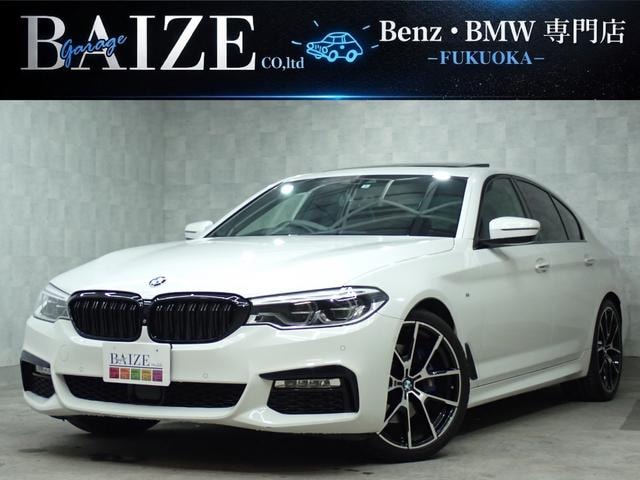 Bmw 5 SERIES 2018 — фото автомобиля 1
