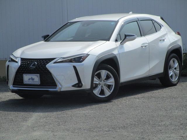 Lexus UX 2023 — фото автомобиля