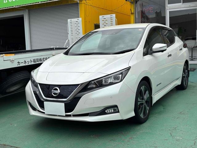 Nissan LEAF 2020 — фото автомобиля 1