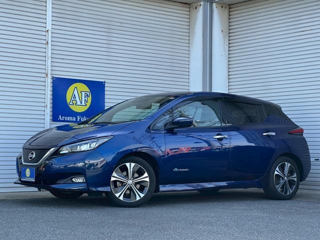 Nissan LEAF 2021 — фото автомобиля 1