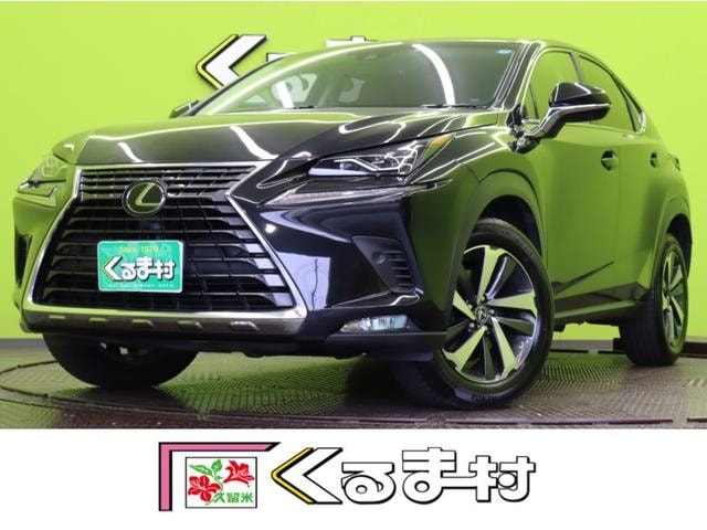 Lexus NX 2018 — фото автомобиля 1