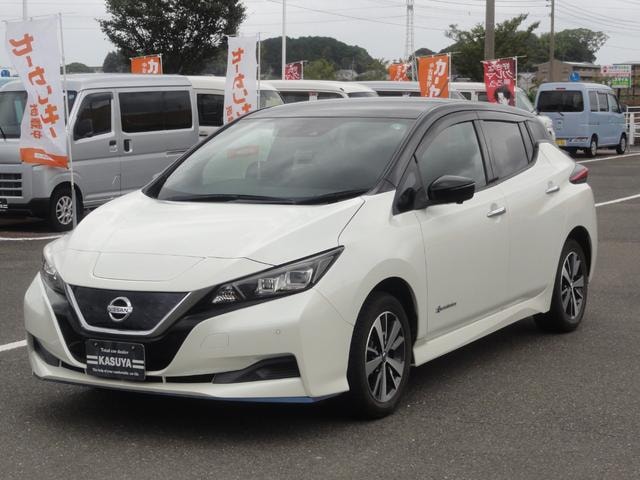 Nissan LEAF 2019 — фото автомобиля 1