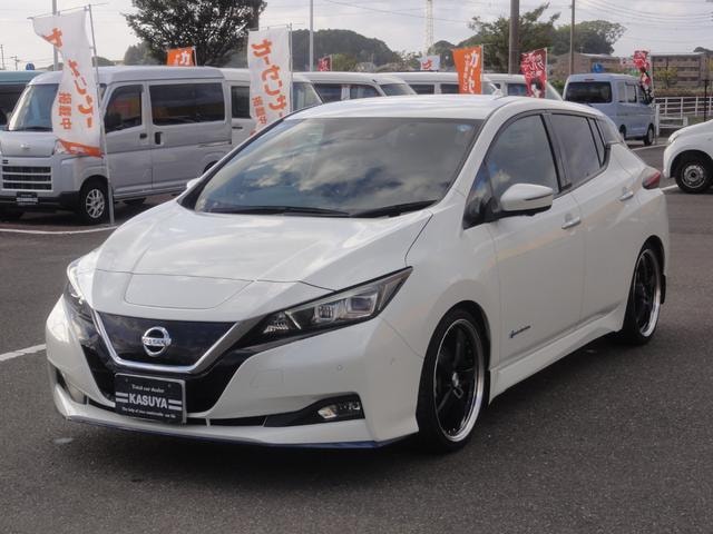 Nissan LEAF 2019 — фото автомобиля 1