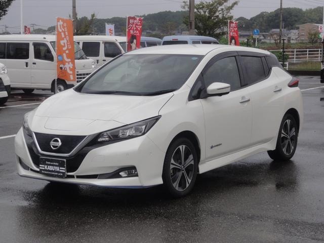 Nissan LEAF 2019 — фото автомобиля 1