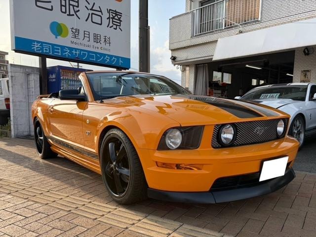 Ford MUSTANG 2007 — фото автомобиля 1
