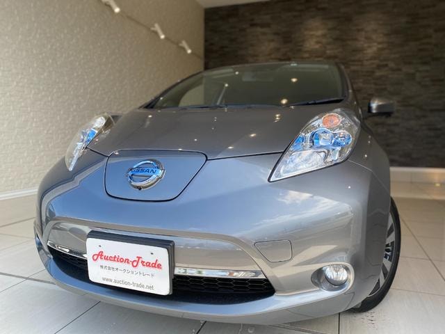 Nissan LEAF 2016 — фото автомобиля 1