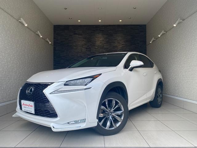 Lexus NX 2017 — фото автомобиля 1