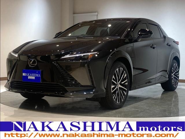 Lexus RZ 2023 — фото автомобиля 1