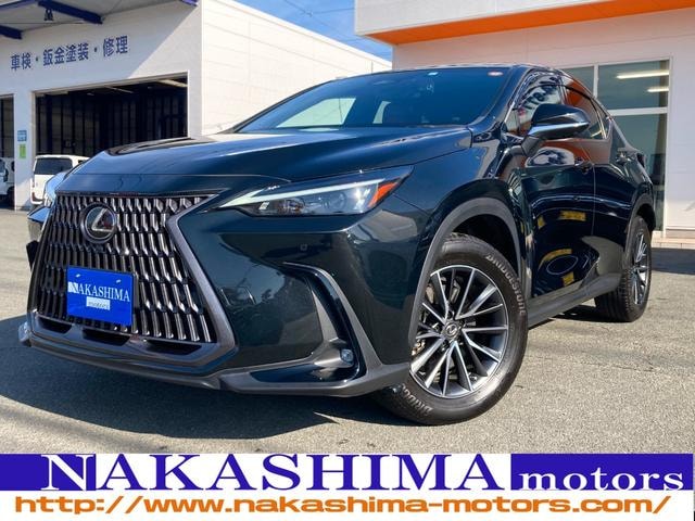 Lexus NX 2023 — фото автомобиля 1