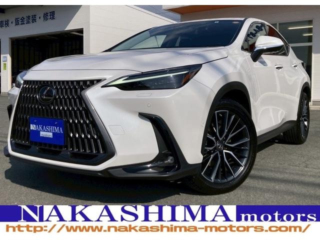 Lexus NX 2023 — фото автомобиля 1