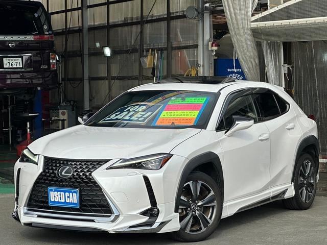 Lexus UX 2019 — фото автомобиля 1