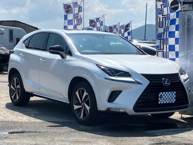 Lexus NX 2018 — фото автомобиля 1