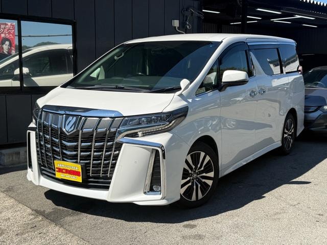 Toyota ALPHARD 2020 — фото автомобиля 1