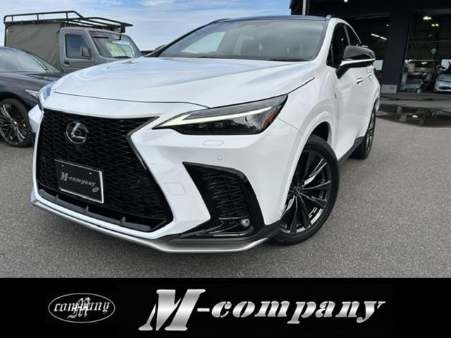 Lexus NX 2023 — фото автомобиля 1