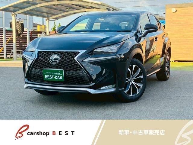 Lexus NX 2014 — фото автомобиля 1