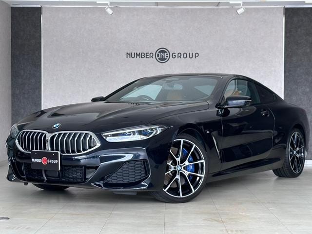 Bmw 8 SERIES 2020 — фото автомобиля 1