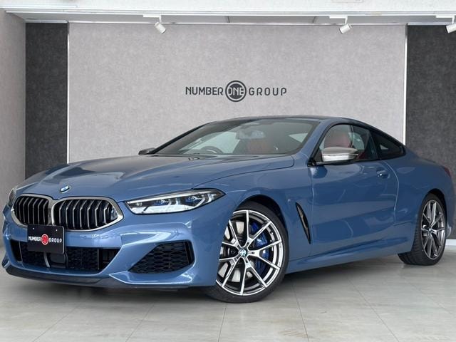 Bmw 8 SERIES 2019 — фото автомобиля