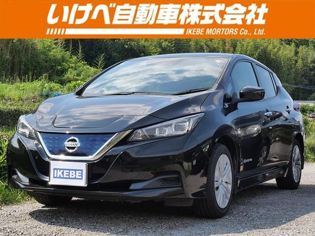 Nissan LEAF 2019 — фото автомобиля 1