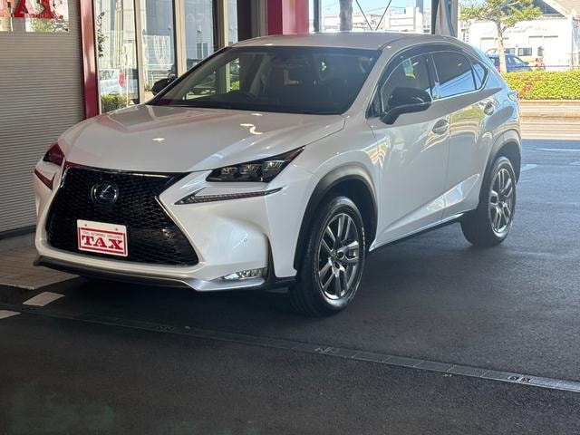 Lexus NX 2014 — фото автомобиля 1