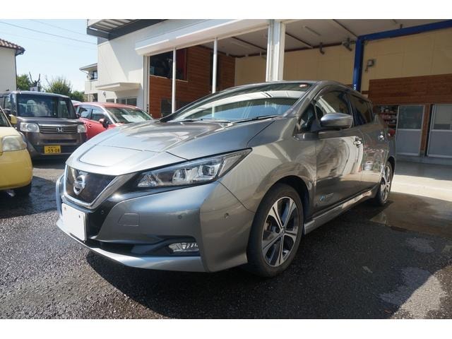 Nissan LEAF 2018 — фото автомобиля 1